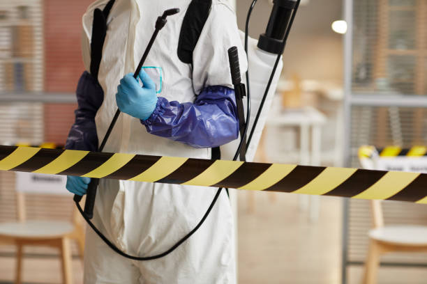Professional Sewage Cleanup technician working in Farmington, UT